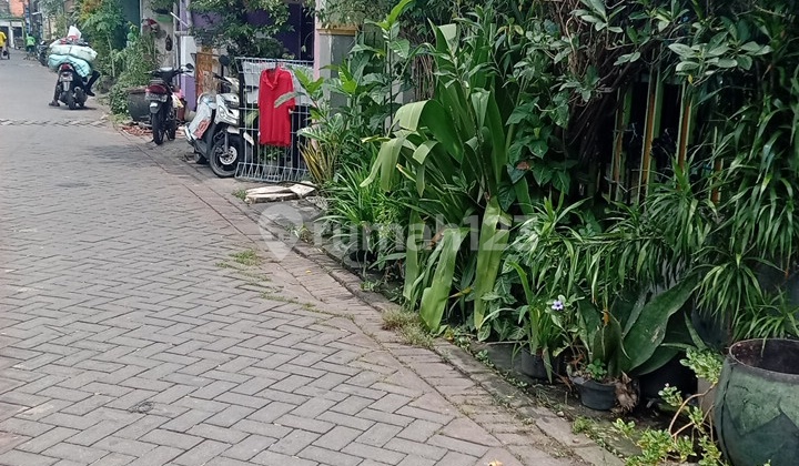 Rumah Butuh Renovasi Bronggalan Sawah Surabaya 2