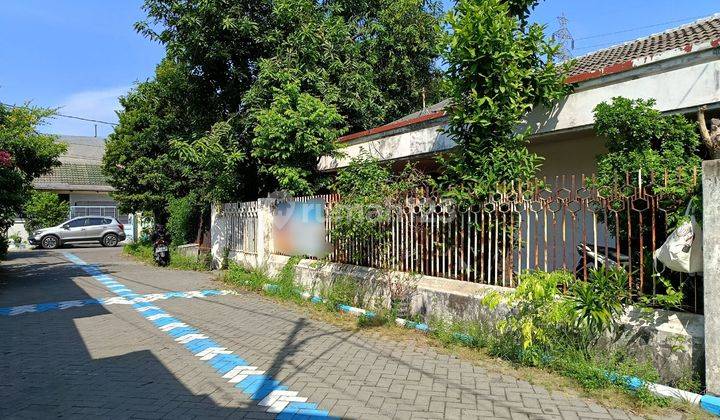 Rumah 1 Lantai Butuh Renovasi Di Griya Kebraon Surabaya Selatan  1