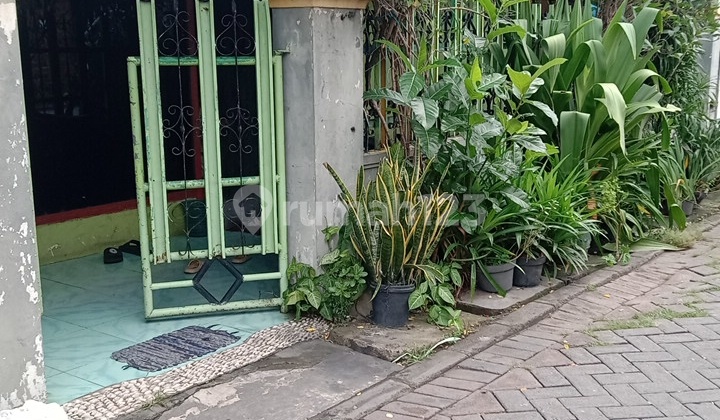 Rumah Butuh Renovasi Bronggalan Sawah Surabaya