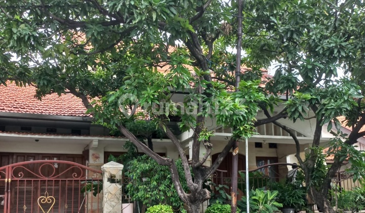 Rumah Terawat Siap Huni Medokan Asri Barat Rungkut Surabaya Rumah Terawat Siap Huni Medokan Asri Barat Rungkut Surabaya