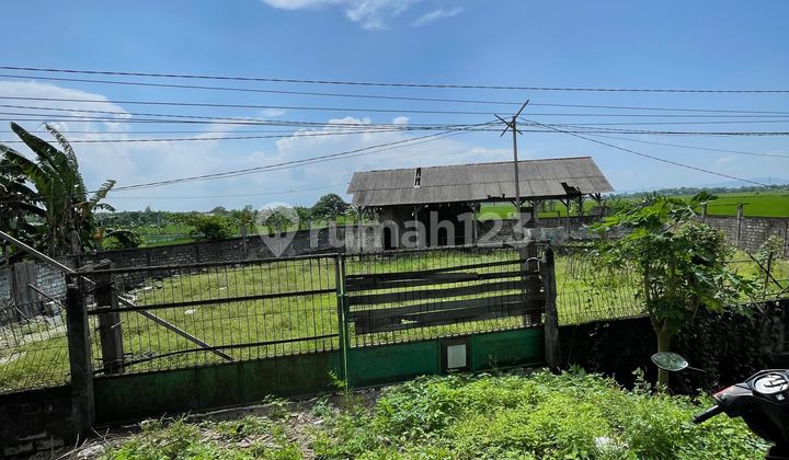 Ready-to-Build Land No Street Widang Village Tuban East Java