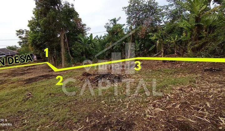 Tanah di kawasan pergudangan rotan Plumbon  1