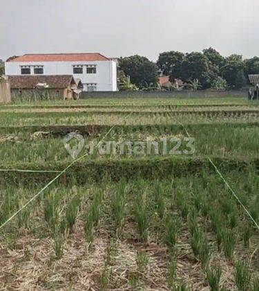 Tanah Dijual Luas Harga Langka di Kp. Andir Ciburuy, Padalarang 2