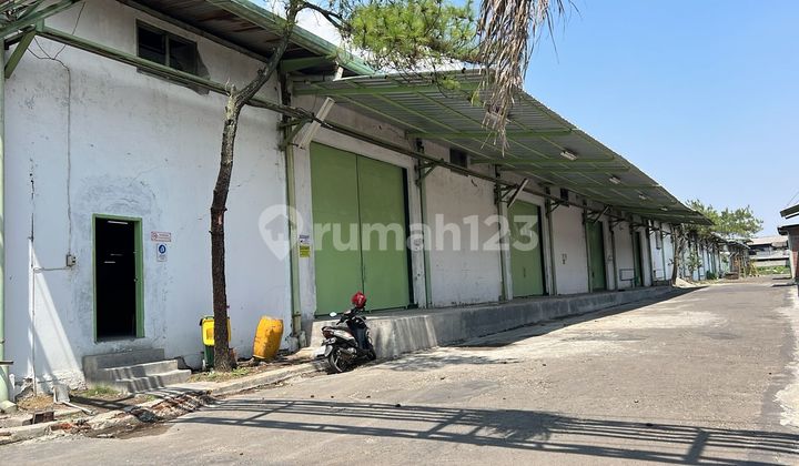 Warehouse for Rent, Ready to Use, in Leuwigajah, South Cimahi 01