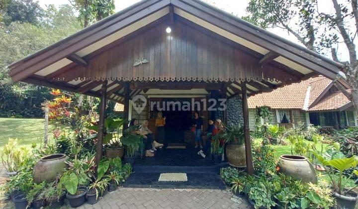 Villa dijual Puncak Cisarua dekat Taman Safari Puncak Bogor 2