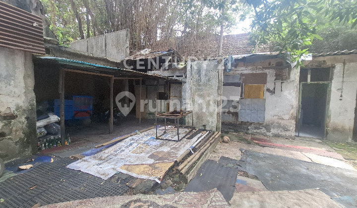 For Rent Old House Large Land in Premium Area Menteng 2