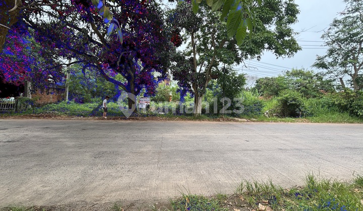 Jual Kavling Tanah Datar Di Subang Mainroad Jual Kavling Tanah Datar Di Subang Mainroad