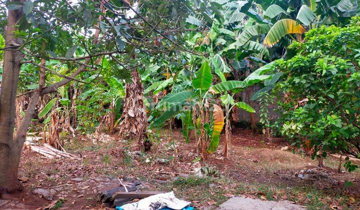  Tanah Dekat Pondok Pesantren Daarul Rahman Jakarta 2