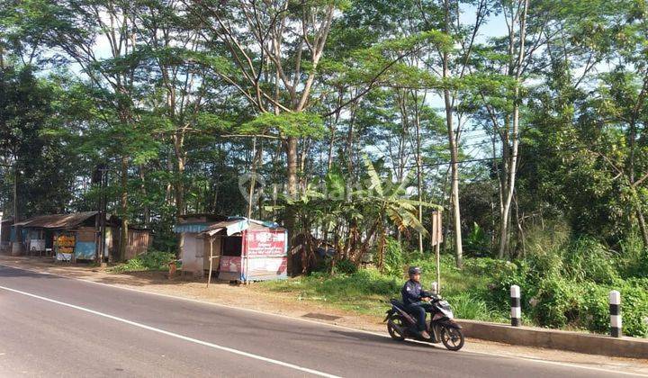 Tanah Kavling Luas Murah Strategis di Citatah Padalarang Bandung 1