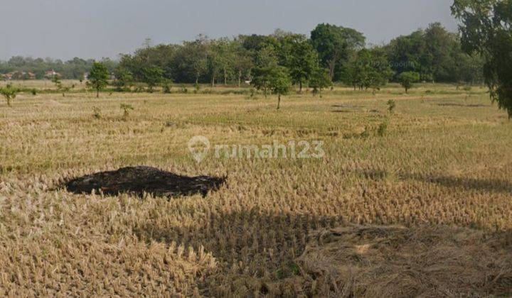 Tanah Murah Kawasan Industri di Pinggir Jalan Propinsi Purwakarta 2