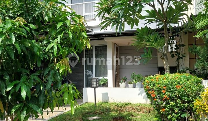 Rumah Bagus di cluster favourite & Ramai. Murah dan bisa NEGO! 2