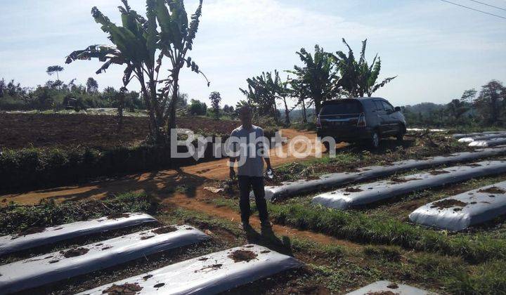 Tanah darat 60Ha siap bangun pinggir jalan Takokak Cianjur, Jawa barat 2