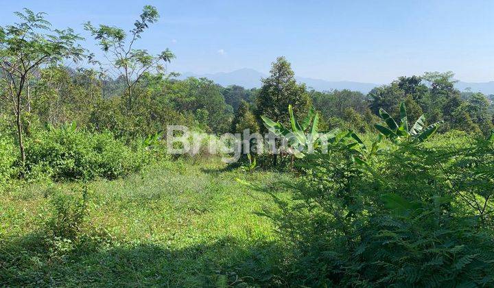 Tanah bukit pasir, sawah, danau jarak 3km ke pusat kota Cianjur, Jawa Barat 2