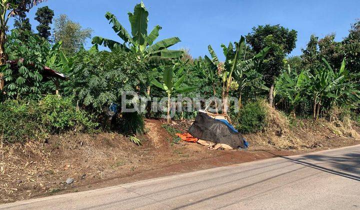 Tanah bukit pasir, sawah, danau jarak 3km ke pusat kota Cianjur, Jawa Barat 1