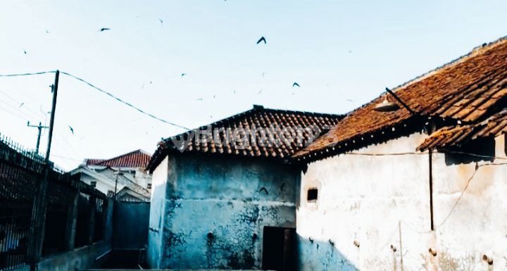 Rumah sarang burung walet di Subang, Jawa Barat  2
