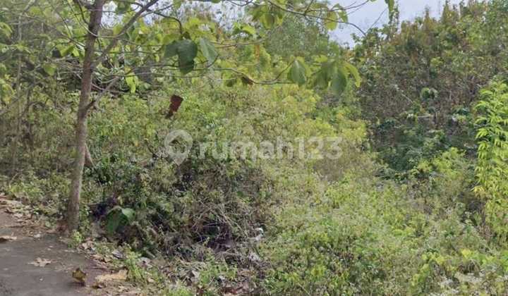 Tanah Strategis di Pecatu dekat Pantai Bingin.