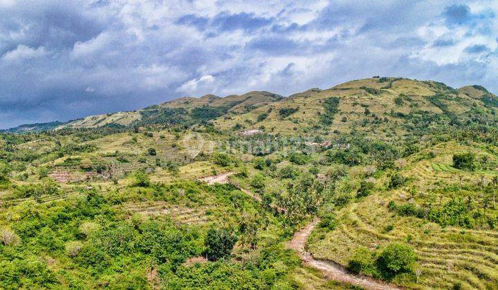 Land in Panjaban Ocean View and View Ubud has a 50 percent discount  2