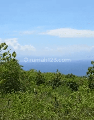 Land for sale with an area of 70 acres located in Nusa Penida 1