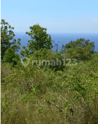 Land for sale with an area of 70 acres located in Nusa Penida 2