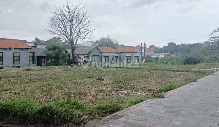 Dijual Tanah 32 Are Los Sungai View Sawah Lokasi di Canggu 1