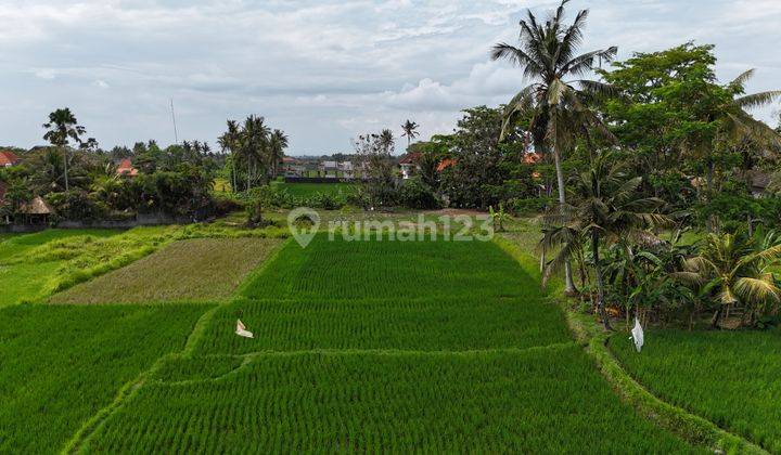 Dijual Tanah Luas 42 Are Lokasi di Kemenuh Gianyar 1