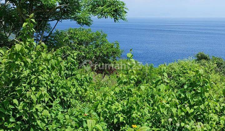 Tanah Premium Ocean View Siap Bangun Lokasi di Nusa Penida 2