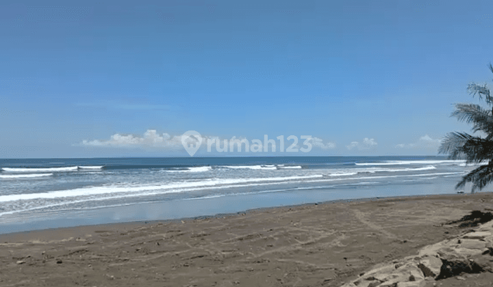 Dijual Tanah Loss Pantai Lokasi Selemadeg Tabanan  2