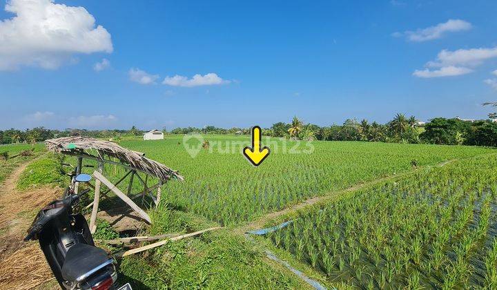 Selling plots of land in Tabanan near Tanah Lot Bali 1