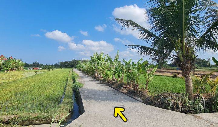 Selling plots of land in Tabanan near Tanah Lot Bali 2