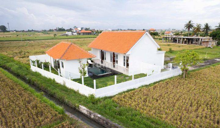 Villa Super Quite With Wide Range Rice Field View 1