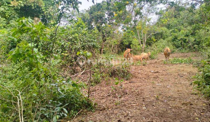 Land Ready to Build Sea View Location in Pecatu 1