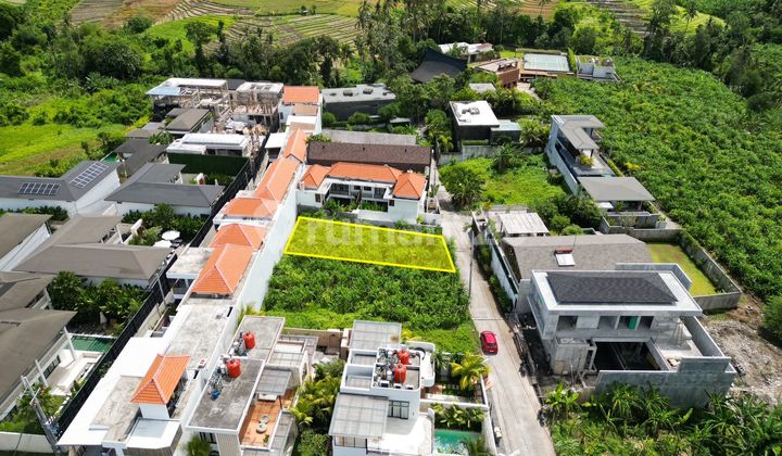 Tanah Hak Milik Plot Kecil Berlokasi di Canggu