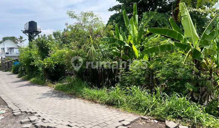Tanah View Sawah Lokasi di Jl Pantai Berawa Canggu Tanah View Sawah Lokasi di Jl Pantai Berawa Canggu
