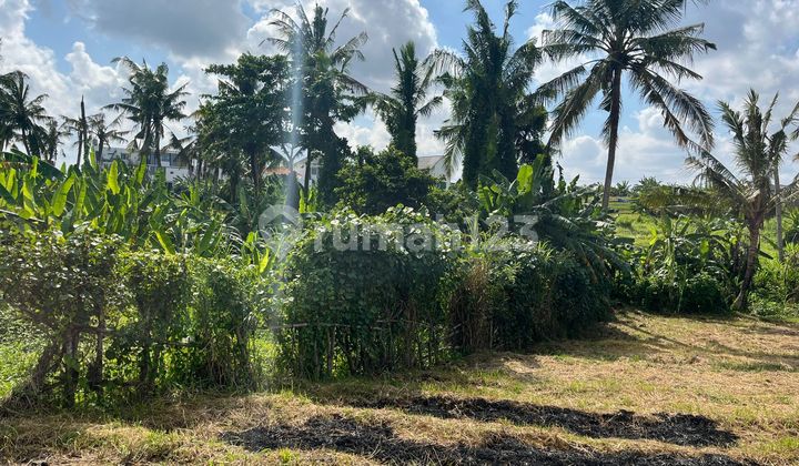 Tanah Lokasi Strategis di Pererenan hanya 3 Menit ke Pantai Tanah Lokasi Strategis di Pererenan hanya 3 Menit ke Pantai