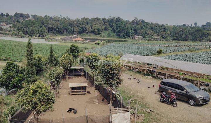 Kavling Cocok untuk Villa & Usaha Wisata  1