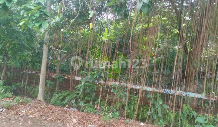 Land 1101 m2 SHM Land Sareal, Bogor Land 1101 m2 SHM Land Sareal, Bogor