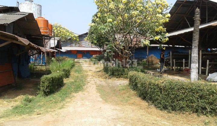 Di jual tanah ex Peternakan Ayam Lokasi di cimuning, bantar gebang bekasi 1