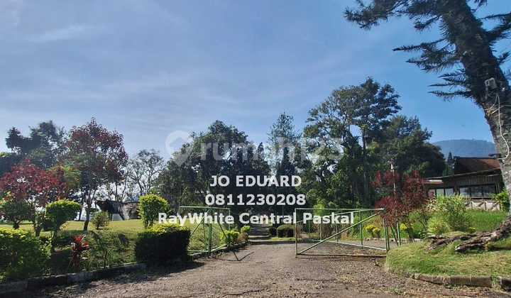 foto lainnya tanah kebun mdpl 1.200 lokasi
