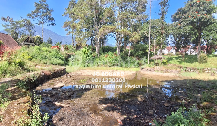 foto lainnya tanah kebun mdpl 1.200 lokasi