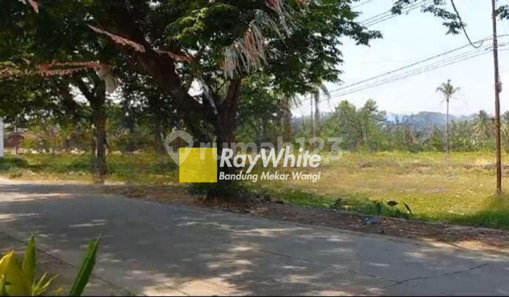 Tanah SHM Cikalong Kulon Cianjur Lokasi Strategis Tanah SHM Cikalong Kulon Cianjur Lokasi Strategis