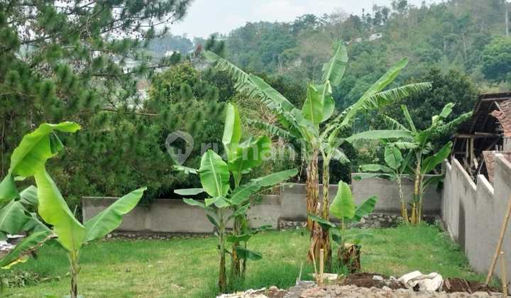 Tanah Lembang, Bandung Barat, Belakang Dago Dream Park 2