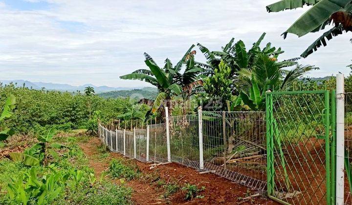 Dijual Tanah Kebun Tinggal Panen di Wanawali-Cibatu, Purwakarta 1