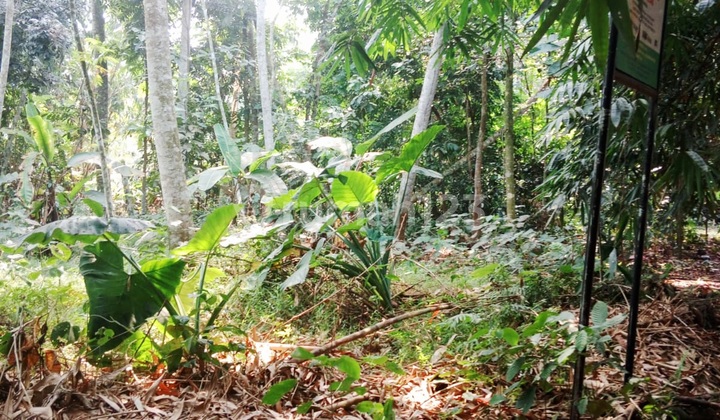 Disewakan Tanah Di Mekarwangi, Di Kawasan Cisauk