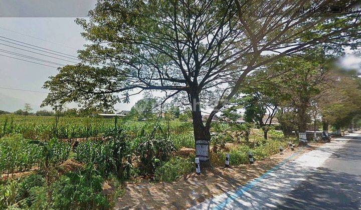 Tanah Luas di Nol Jalan Raya Pasuruan Malang 1