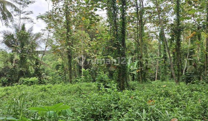 Tanah Siap Bangun di Jatikerto, Kromengan Kab. Malang 2