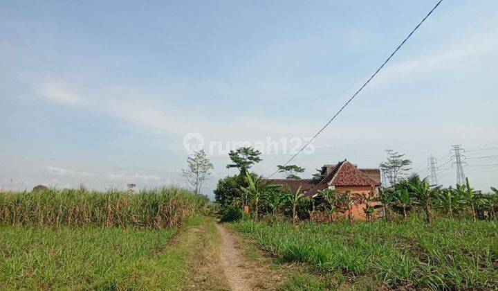 Tanah Kering Cocok Untuk Perumahan di Arjowinangun, Malang 2