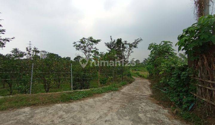 Tanah Kebun di Dieng Atas, Sukun Malang  1