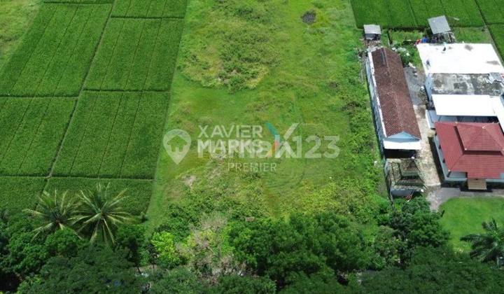 Tanah Luas di Jalan Raya Pepen, Mojosari Kepanjen Kabupaten Malang Tanah Luas di Jalan Raya Pepen, Mojosari Kepanjen Kabupaten Malang