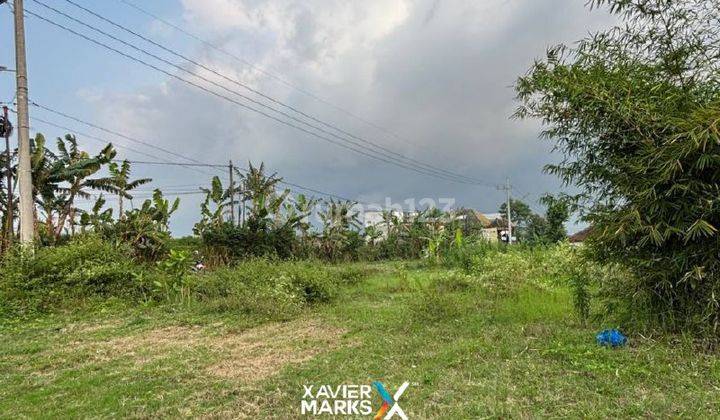 Tanah Luas di Tawangargo, Karangploso Malang 1