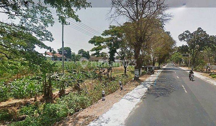 Tanah Luas di Nol Jalan Raya Pasuruan Malang 2